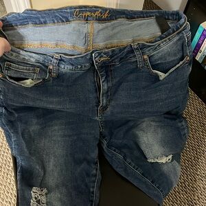 18W, Straight Murray Jeans
